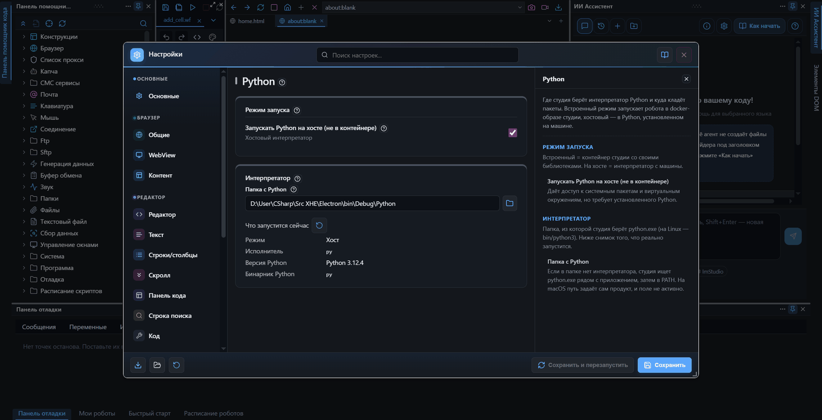Страница Python настроек: режим запуска на хосте, папка с Python и снимок «Что запустится сейчас» с версией 3.12.4